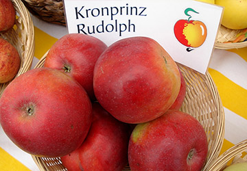 Kronprinz Rudolf
